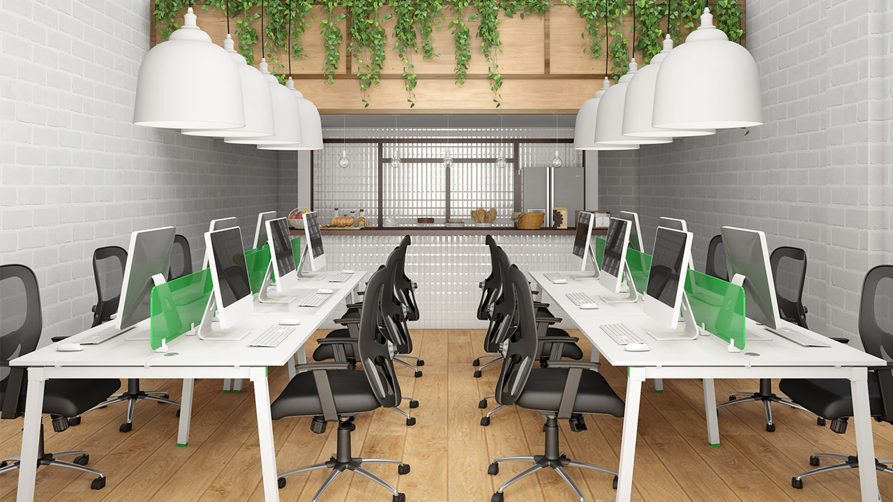 How to Design an Eco-friendly Office